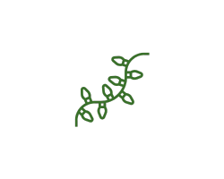 Lights+Icon+TD+(250+x+200+px)