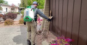 Senske_pest_control2