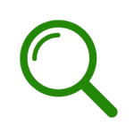 Visual Inspection Termite