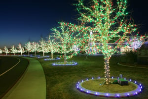 Walkway and Ground Lighting