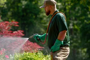 ace of blades lawn technician spraying flea and tick treatment