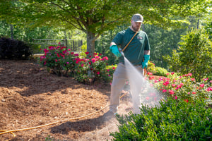 cave springs flea and tick control service