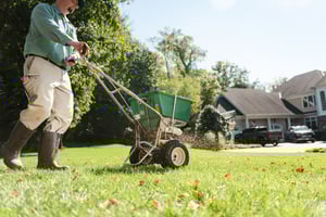 fetilizer and weed control being spread on cave springd lawn