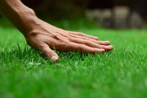 hand_grass