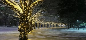 idf-christmas-lights-1020x480
