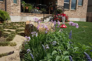 landscaped lawn in springdale ar