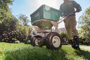 lawn care service overseeding grass