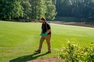 lawn disease treatment service in lowell