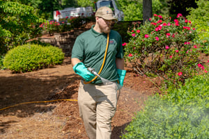 lawn techinician spraying for fleas and ticks in centerton