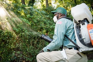 lawn techinician spraying for mosquitos in springdale lawn