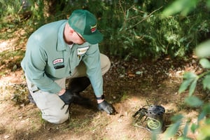 lawn technician inspecting for lawn disease on Rogers lawn