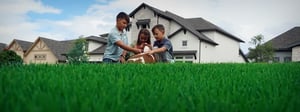 lawn-care-hero
