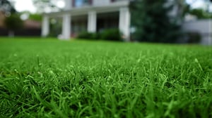 lawn-services-hero-desktop-2000x1124