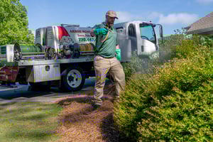 pest and disease protection