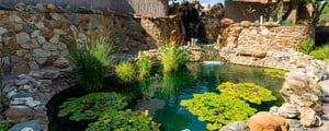 pond_water_feature-1200x480