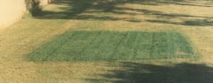 s11