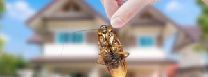 seattle-pest-control-1280x480