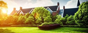 seattle-tree-care-service-1280x480