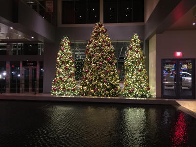 senske-holiday-decor-lit-trees