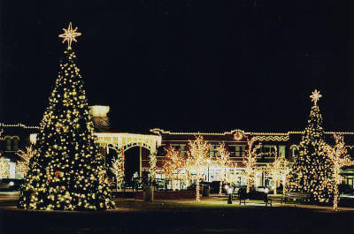 senske-holiday-decor-traditioinal-christmas-tree