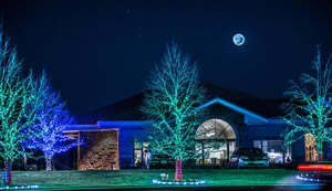 senske-holiday-lighting-blues
