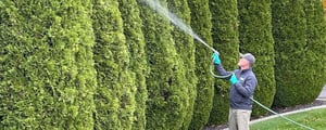 slc-tree-service-1197x480