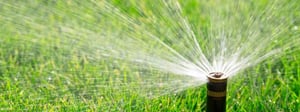 sprinkler-waters-lawn-1280x480