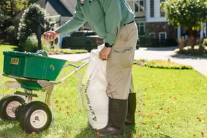 technician fertilizing lawn in Springdale