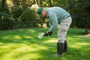 technician inspecting for flea and ticks in bentonville yard