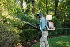 technician spraying for mosquitos in Fayetteville