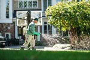 technician spraying lawn disease treatment on Fayetteville lawn