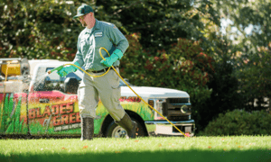 wait-to-mow